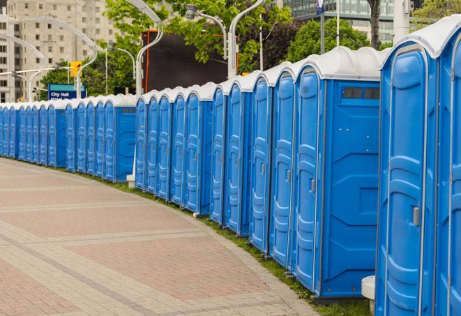 Seasonal porta potty units set up at a Trenton, New Jersey venue